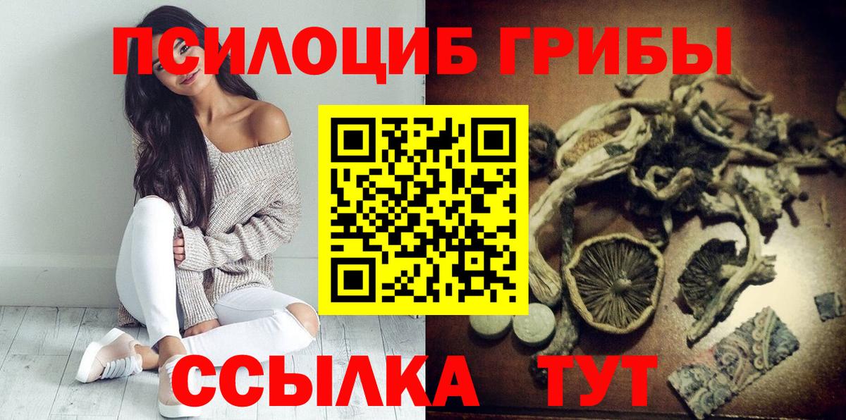 Псилоцибиновые грибы Cubensis Нижневартовск